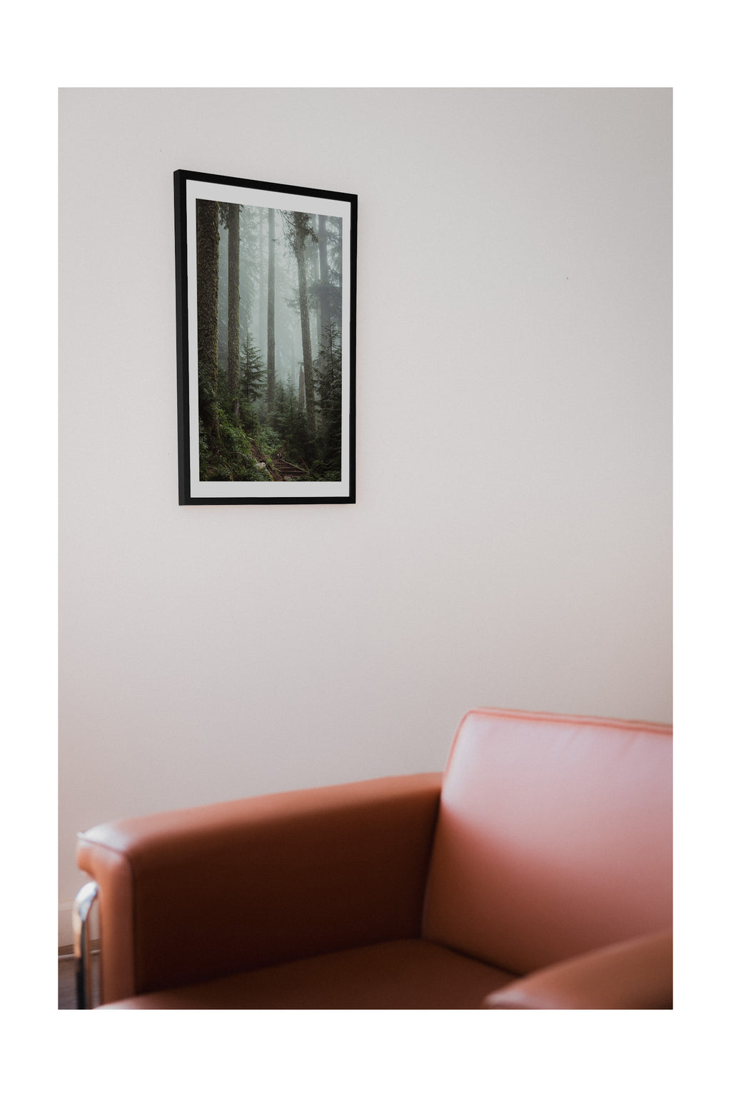 A Cascade Forest - Fine Art Print