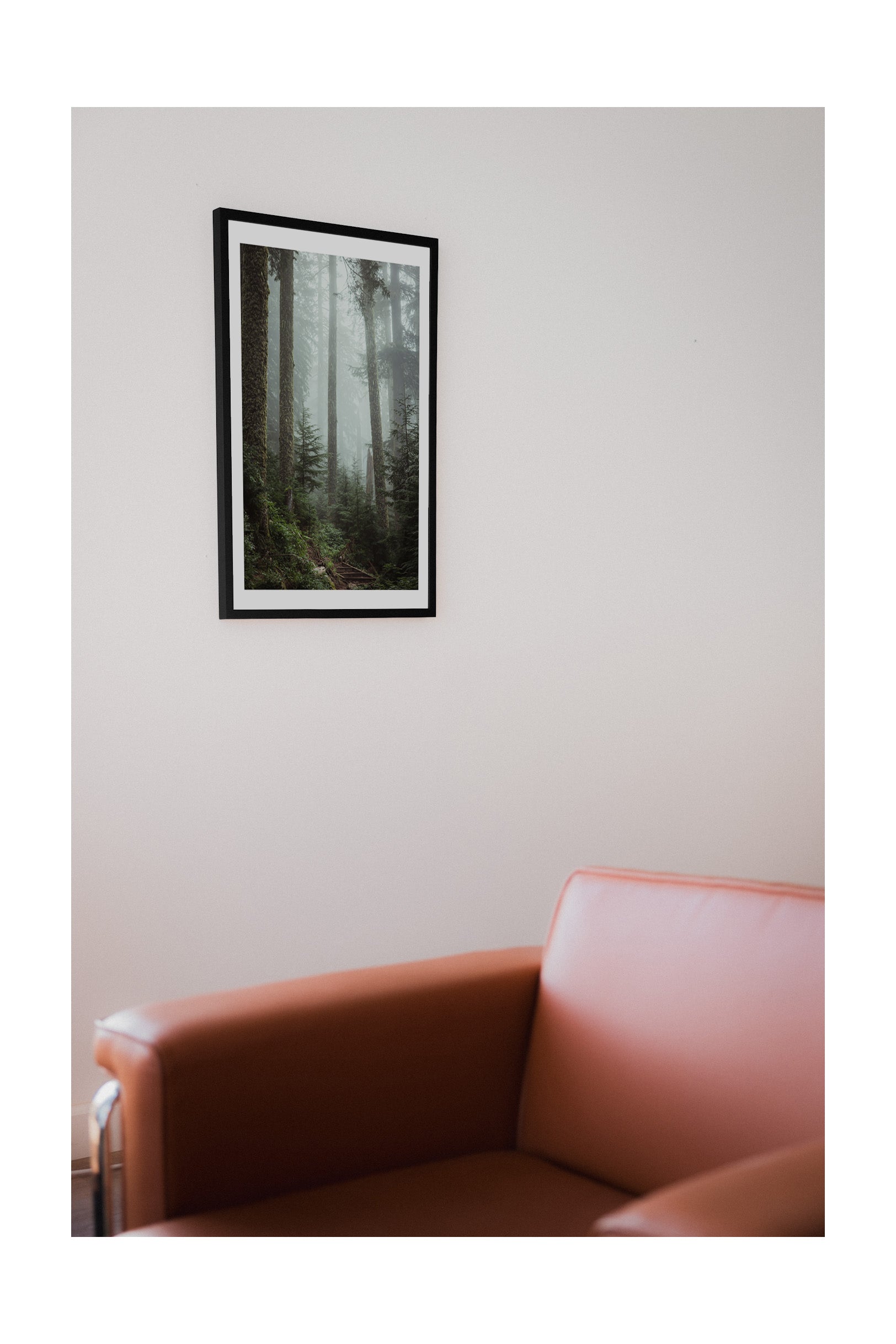 A Cascade Forest - Fine Art Print